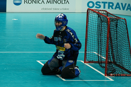 3088465567_fe61777880.jpg
